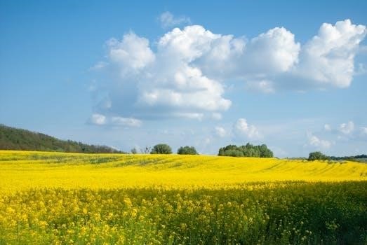 Укладка деревянного пола своими руками